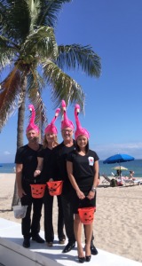 Halloween Eve in Ft Laud Beach! Flocking Fabulous!